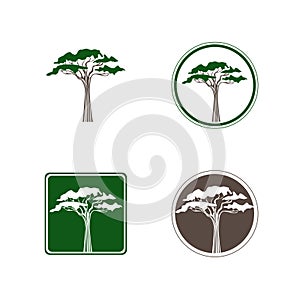 Acacia Tree Logo Design Set