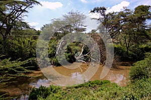 Scenic view of Athi River at Nairobi National Park, y photo