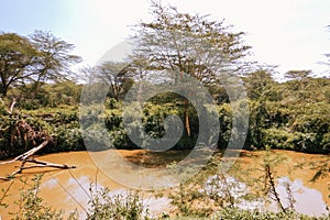 Scenic view of Athi River at Nairobi National Park, y photo