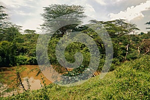 Scenic view of Athi River at Nairobi National Park, y photo