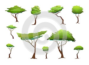 Acacia trees set. Africa savanna plants. African landscape. Isolated on white background. Vector
