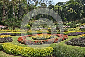 Acacias and artly decorated flower beds