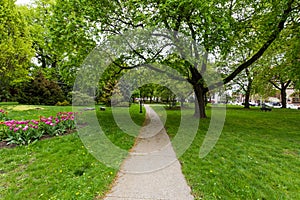 Academy Park Next to Capitol Building in Albany, New York