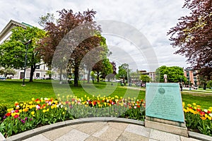 Academy Park Next to Capitol Building in Albany, New York