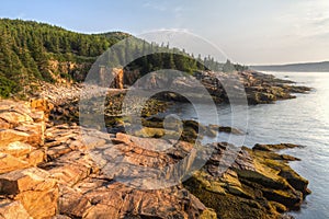 Acadia Morning at Monument Cove