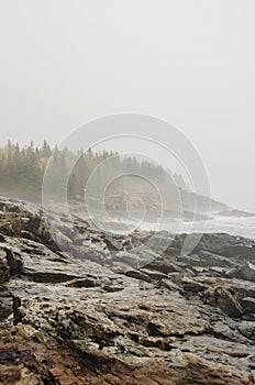 Acadia National Park foggy rocky coast