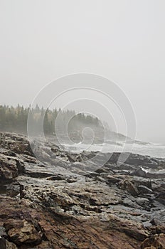 Acadia National Park foggy rocky coast