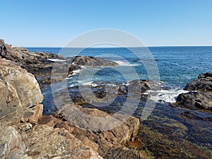 Acadia National Park, Maine, tide pools