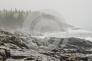 Acadia National Park rocky coast