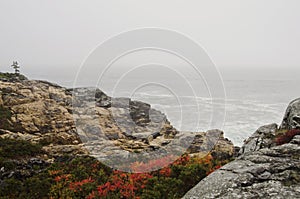 Acadia National Park rocky coast