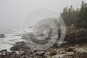 Acadia National Park rocky coast