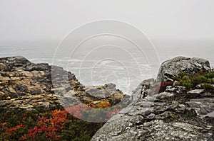 Acadia National Park rocky coast in Autumn