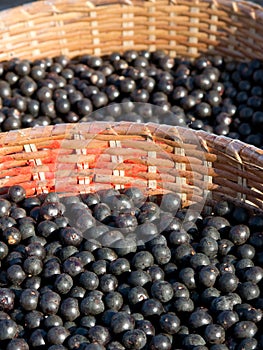 Acai in baskets