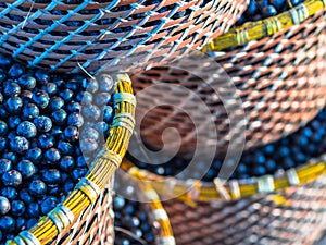 Acai in baskets