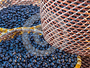 Acai in baskets