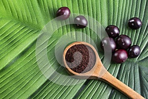 Euterpe oleracea - Acai berry powder in spoon photo