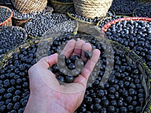 Acai in hand photo