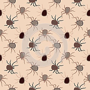 Acari insects vector seamless pattern photo