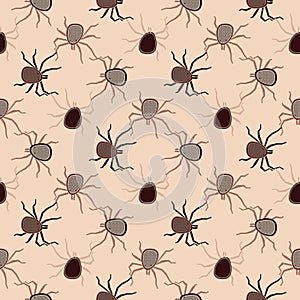 Acari insects vector seamless pattern