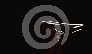 Accentuated Shapes of a Bicycle