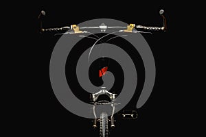 Accentuated Shapes of a Bicycle