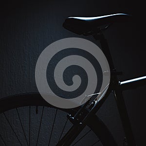 Accentuated Shapes of a Bicycle