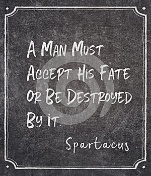 Accept his fate Spartacus quote