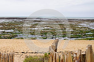 Access beach pathway access sea coast isle oleron island in france