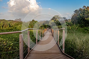 Access Boardwalk to Baia dos Golfinhos Dolphins Bay - Fernando de Noronha, Pernambuco, Brazil photo