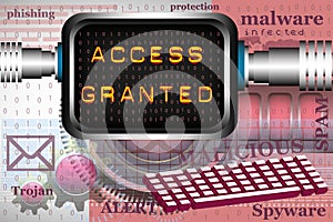Access granted