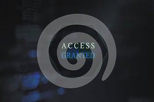 `Access granted` at computer system screen