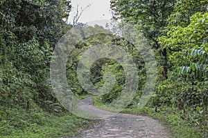 Access road at the PeÃÂ±as Blancas Massif natural reserve, Nicaragua photo