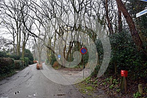 Access road to one of the 4 holiday parks, which are located on this narrow road. The village of Schoorl - North Holland