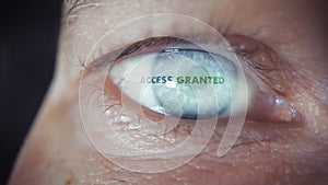 Access Successfully Granted During An Iris Eye Scan