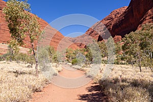 Access trail to Kata Tjuta monolits, Ayers Rock, Red Center, Australia