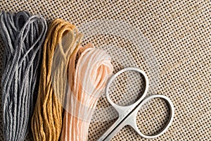 Accessories for hobbies: different colors of thread for embroidery