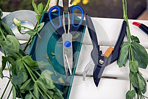 Accessories scissors, shears lie