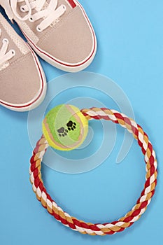Accessories for walking with a pet. Sneakers, a ring for playing with a dog, on a blue background photo
