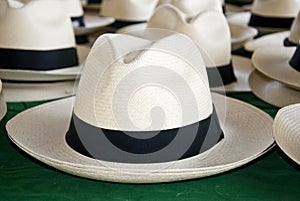 Accessory - Panama Hats