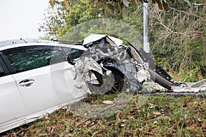 Accident car crash with tree