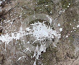 Accidentally spilled white paint.