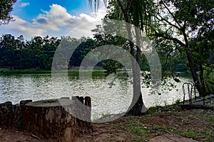 Acclimatization park sao paulo brazil blue sky