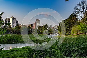 Acclimatization park in sao paulo brazil blue sky clouds white