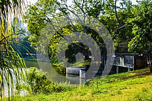 Acclimatization park sao paulo brazil Landscape in green