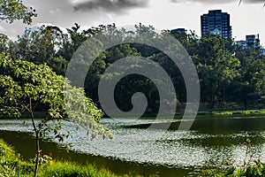 Acclimatization park sao paulo brazil landscape lake