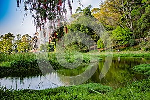 Acclimatization park in sao paulo brazil landscape in the middle of the city