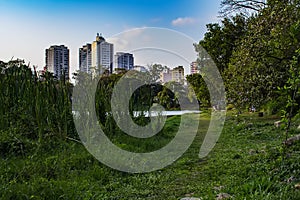 acclimatization park sÃÂ£o paulo Brazil blue sky and trees, photo