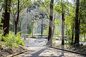 acclimatization park sÃ£o paulo Brazil Recreation area