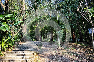 Acclimatization park sÃ£o paulo Brazil Staircase path