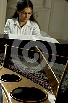 Accomplished Pianist at the Piano photo